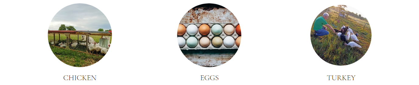 poultry headings.png